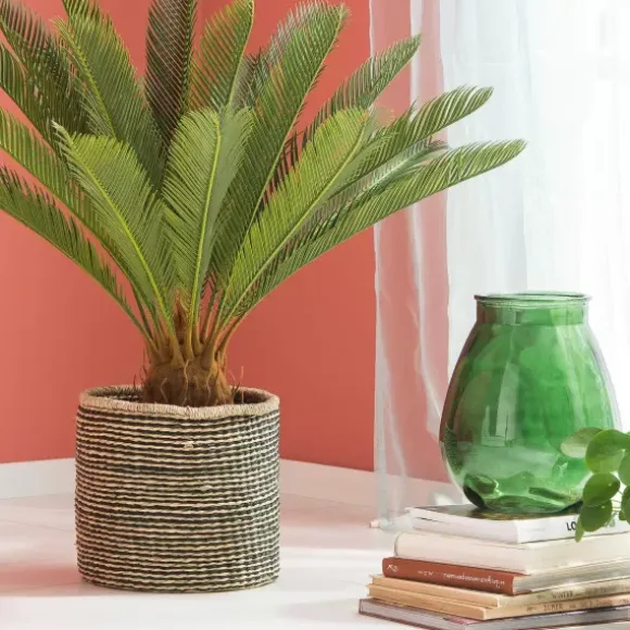 Cycas Palmeira Verde - Image 3